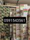 DANGOTE CEMENT AVAILABLE AT PROMO PRICE